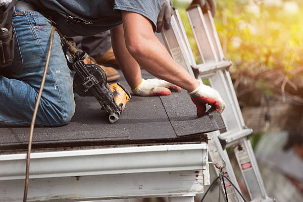 Best Roof Gutter Cleaning  in Calhoun, GA