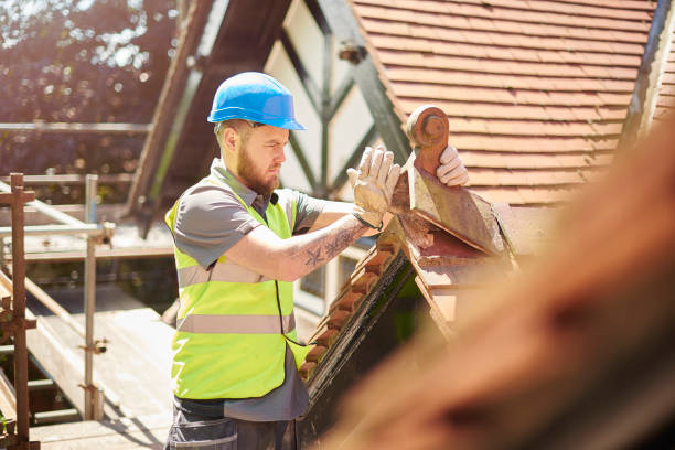 Professional Roofing Contractor in Calhoun, GA